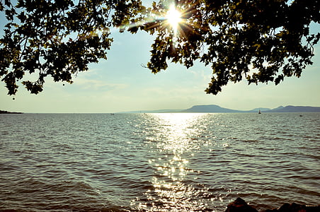 sommar, Balatonsjön, vatten, solljus, naturen, havet, solnedgång