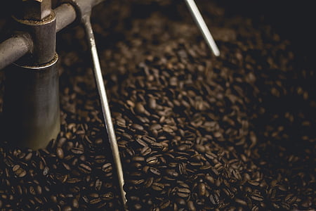 café, haricots, près de :, Metal, tuyau, machine, grains de café