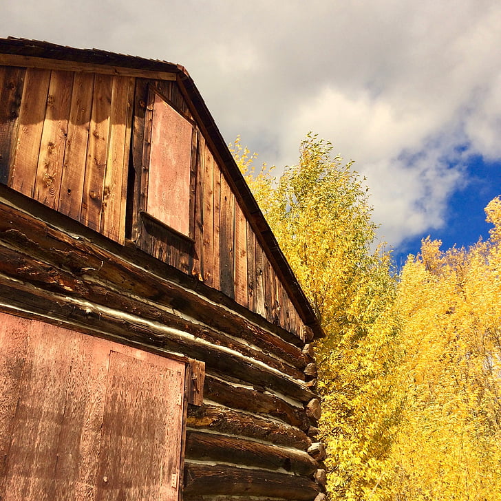 granero, Aspen, caída, otoño, rural, hojas, colorido
