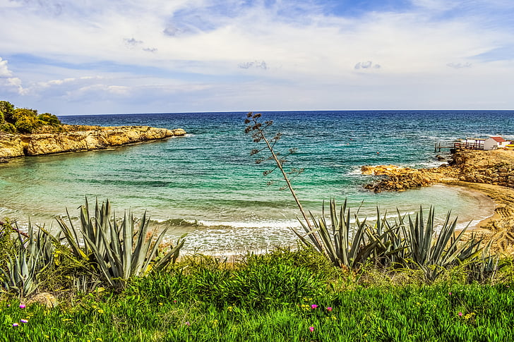 beach, sea, bay, landscape, mediterranean, vegetation, aloe vera