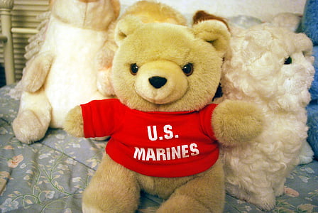 medvěd, Marine, hračka, zvíře, nadívané, plyš