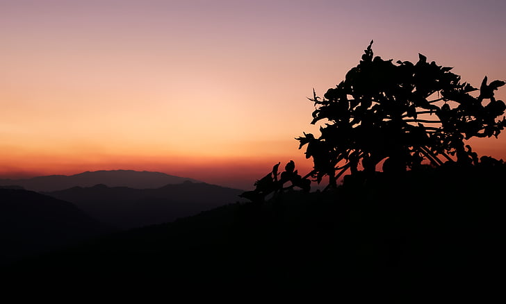 landscape, sunset, silhouette, tree, horizon, dawn, nature