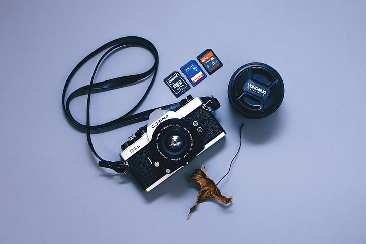 kamera, vaizdo kameros lęšis, prietaisas, sausų lapų, elektronika, lapų, objektyvas