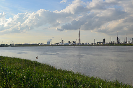 industrijske, krajolik, tvornica, vode, Schelde, Antwerp, Belgija