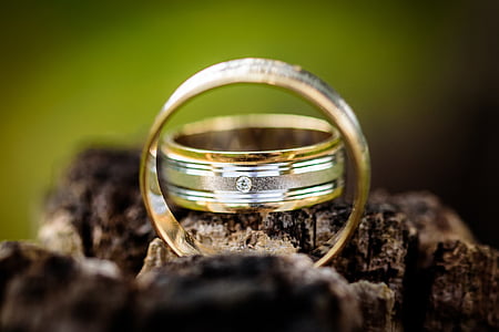 shallow, focus, photography, silver, gold, rings, wedding