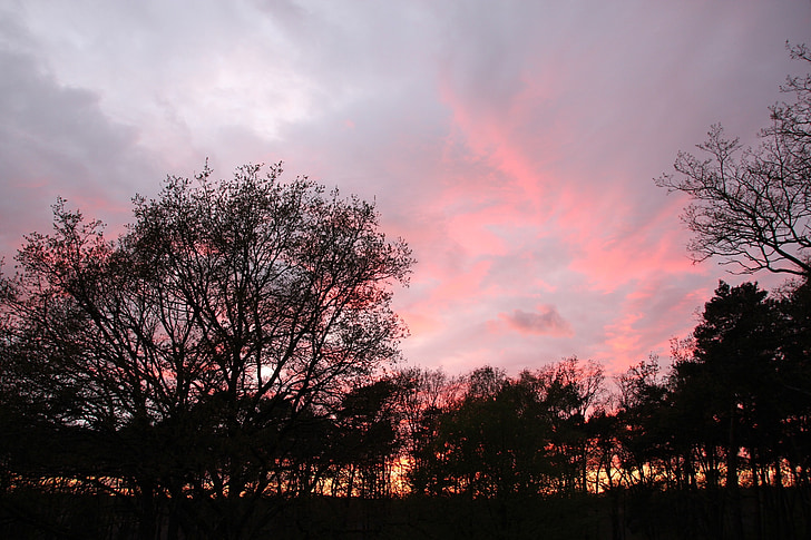 cielo di sera, tramonto, Afterglow, alberi, umore di Meteo