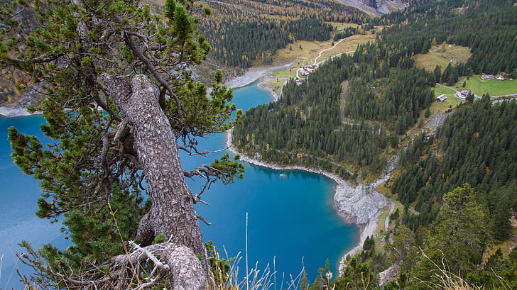 bergsee, pohon, Danau oeschinen, Swiss, alam, Gunung, pemandangan