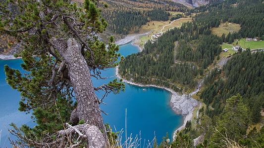 Bergsee, árbol, Lago oeschinen, Suiza, naturaleza, montaña, paisaje
