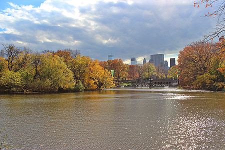New York-i, Manhattan, központi park, őszi, táj, szépség, város
