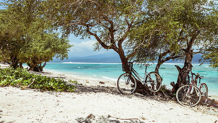 kerékpár, Beach, Bali, fák, homok, kerékpárok, türkiz