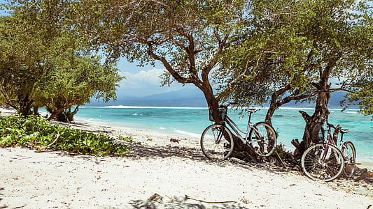 bike, beach, bali, trees, sand, bicycles, turquoise