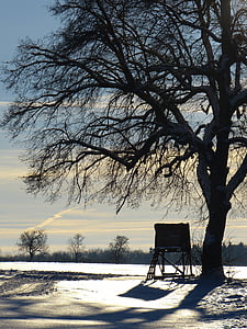 wintry, tree, away, evening, abendstimmung, snow landscape, winter mood