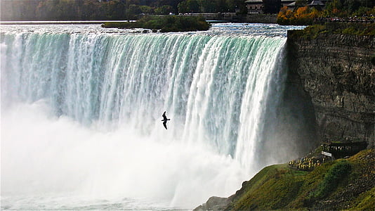 paisatge, riu, l'aigua, natura, Niagarafalls, cascada, Llac