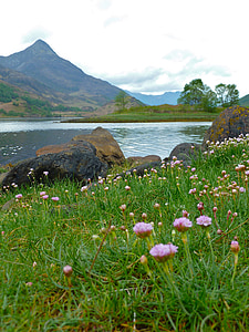 Glencoe, Scoţia, Highlands, Glen coe, natura, izolarea, noros