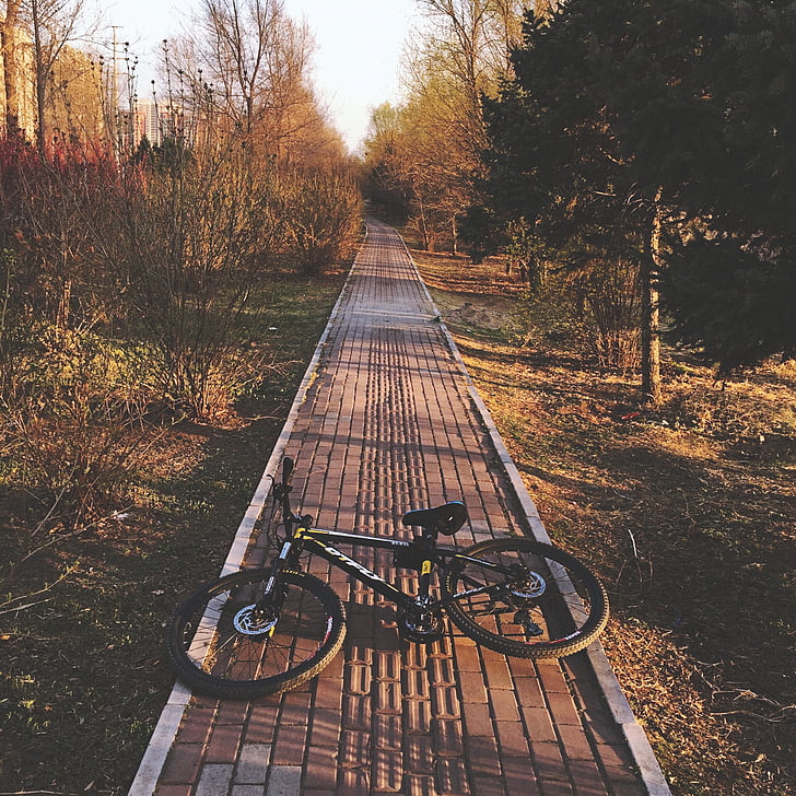 våren, sykkel, sykkel, Street photography, solnedgang, veien, utendørs