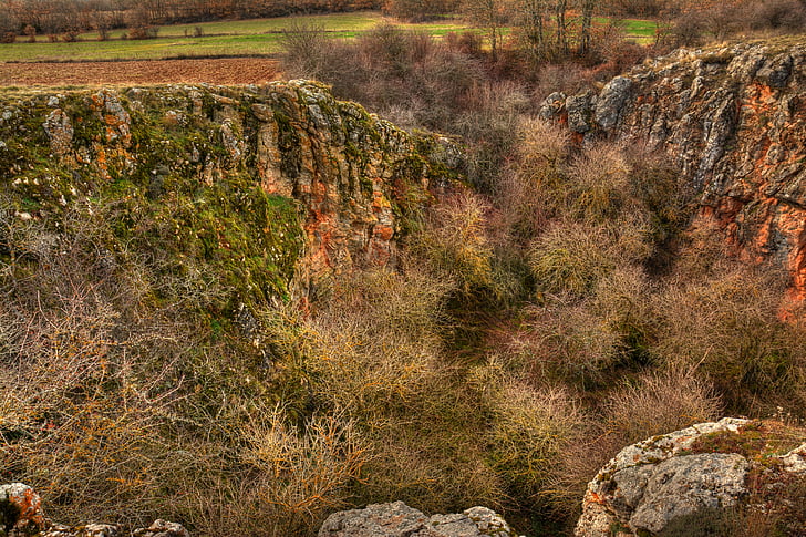 Astrida šeivamedžio uogų, Cueva de ágreda, Moncayo