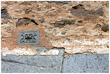 emblema, Leone, parete, animale, facciata, Figura, in muratura