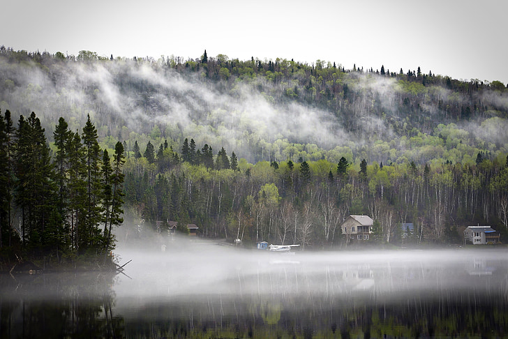 paesaggio, nebbia di mattina, natura, montagna, alberi, primavera, Lago