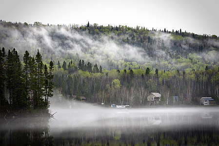 landscape, morning mist, nature, mountain, trees, spring, lake