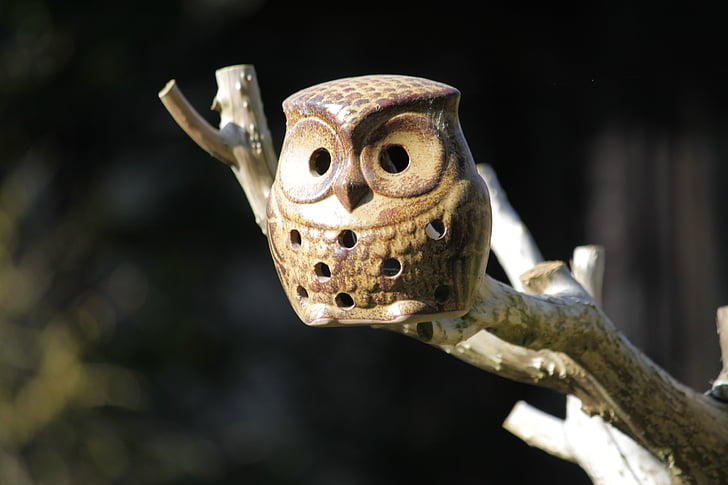 owl, ceramic owl, nesting box, bird, birds, animal, eyes