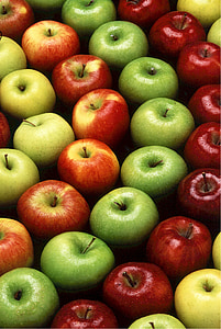 Γιαγιά Σμίθ, τα μήλα, μαγείρεμα, Γλυκό, κουζίνα, ημέρα των ευχαριστιών, Ενοικιαζόμενα
