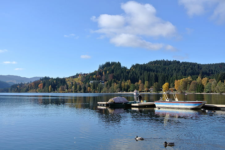 titisee, black forest, germany, lake, boat, forest, outdoors