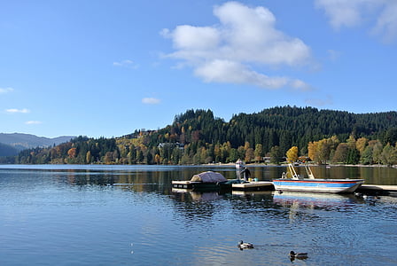 Titisee, Schwarzwald, Tyskland, søen, båd, skov, udendørs