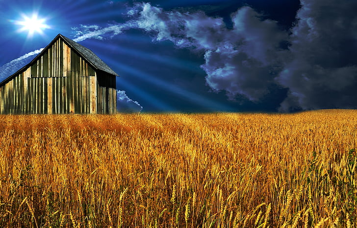 field, barn, sky, sun, clouds, mood, agriculture