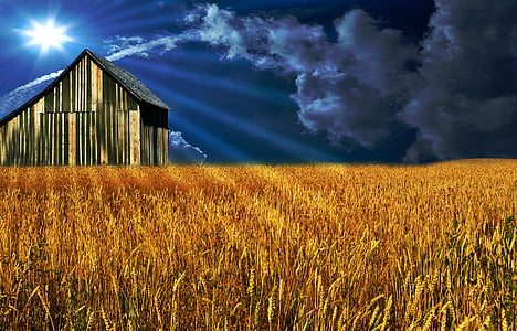 pole, stodola, obloha, slunce, mraky, nálada, zemědělství