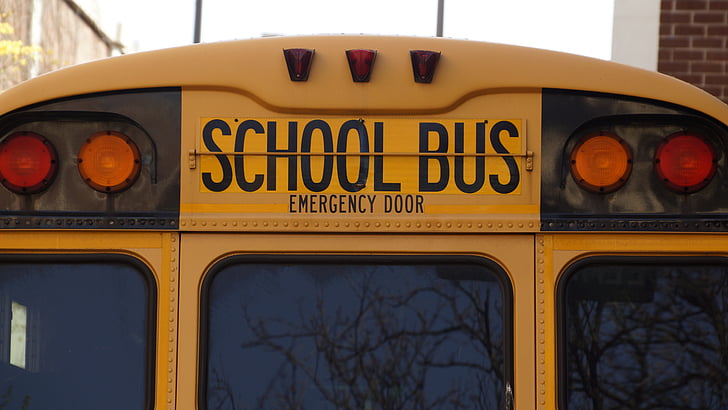 esquena, autobús, l'educació, l'escola, autobús escolar, EUA, vehicle