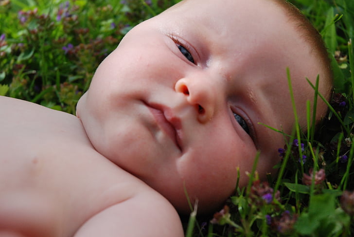 baby, turf, flowers, cute, child, small, human Face