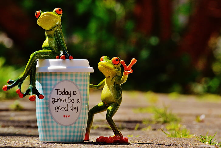belle journée, joie, grenouille, café, Coupe, heureux, bonheur