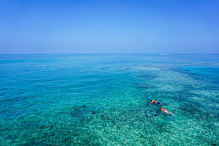 Snorkelling, laut, air, biru, tropis, laut, Horizon atas air