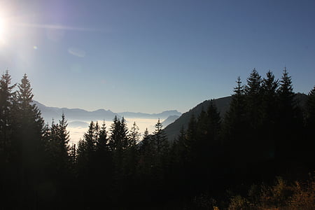 montanhas, sol, descanso, nuvens, nevoeiro, Suíça, yberegg