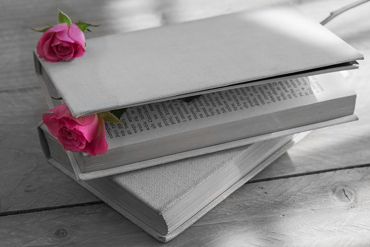 book, book a cloth cover, old book, book cover, rose, pink rose, flower