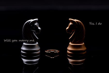 escacs, l'amor, història