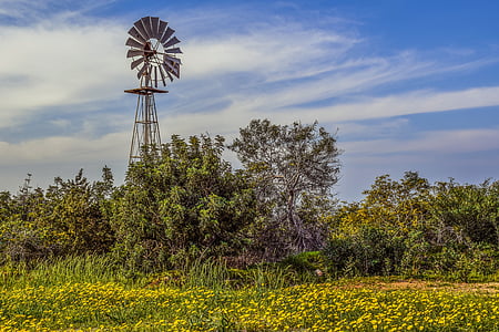 Windmill, landsbygd, landsbygdens, landskap, naturen, våren, land