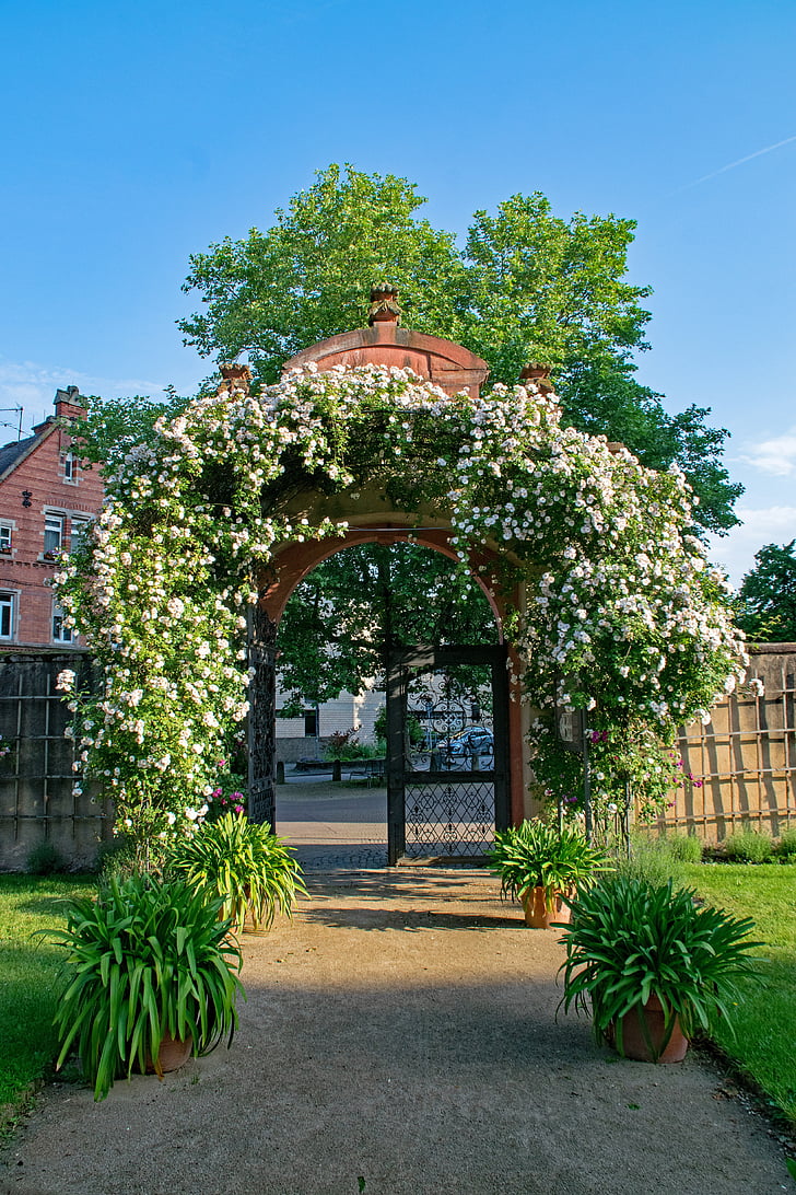 Prins georgs-trädgård, Darmstadt, Hesse, Tyskland, rosor, ökade arch, ingång