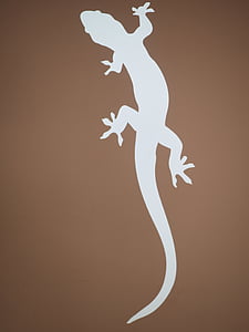 salamander, wormsalamanders, silhouet, hagedis, crawl