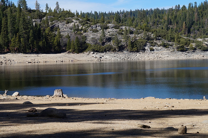 søen, Pinecrest, natur, granit, vand, træer, Sierra