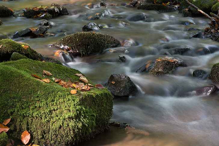 nature, water, river, moss, stream, fluency, softness