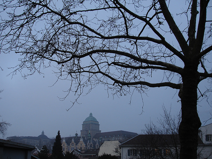 Zurich, mùa đông, buổi tối, màu xanh, khí quyển, Thuỵ Sỹ, thủ đô