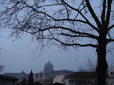 Zurich, vinter, kvällen, blå, atmosfär, Schweiz, huvudstad