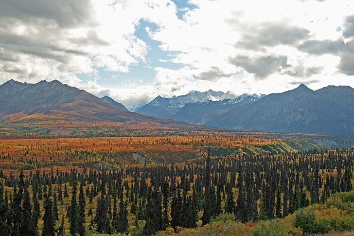 Alaska, hoang dã, dãy núi, Khu hoang dã núi, rừng, vùng nông thôn, Thiên nhiên