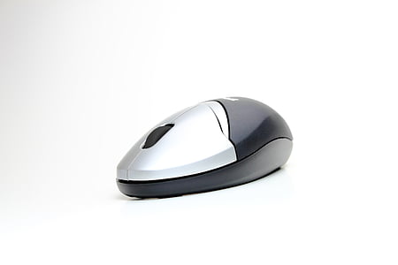 ratón, computadora, Blanco, aislado, periférico, dispositivo de entrada
