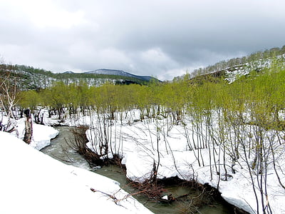 wiosna, zimowe, Latem, Zieloni, Meltwater, Creek, śnieg