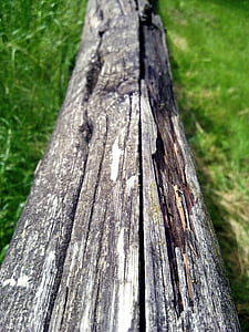 lesa, zrn, drevo, struktura, olesenele tekstura, drevo rešetke, ograje