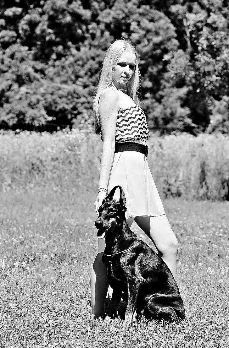 noir blanc, femme avec un chien, Doberman, amour, chien, noir et blanc, femmes