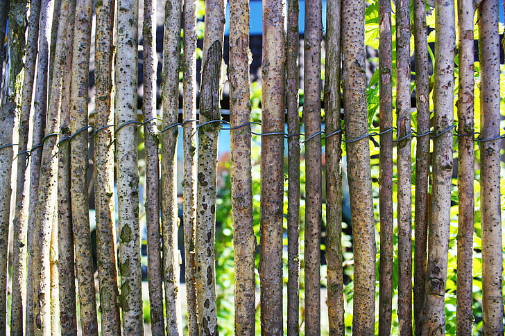 staket, trä, Online, mönster