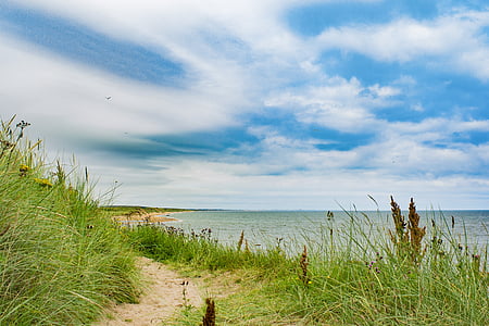Aberdeen, Playa, hierba, junto al mar, mar, cielo, agua